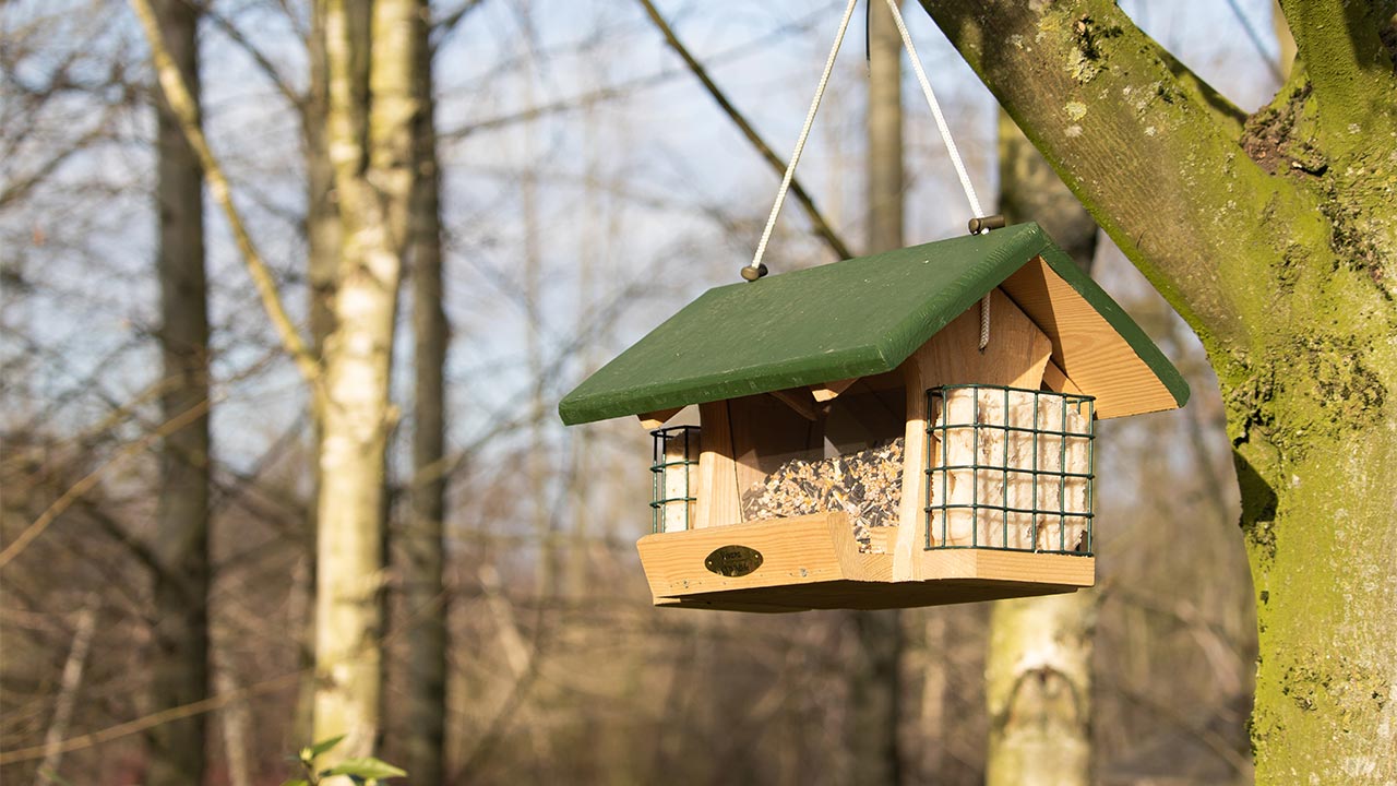Maison pour oiseaux sur pieds : Comment la fabriquer pour pouvoir