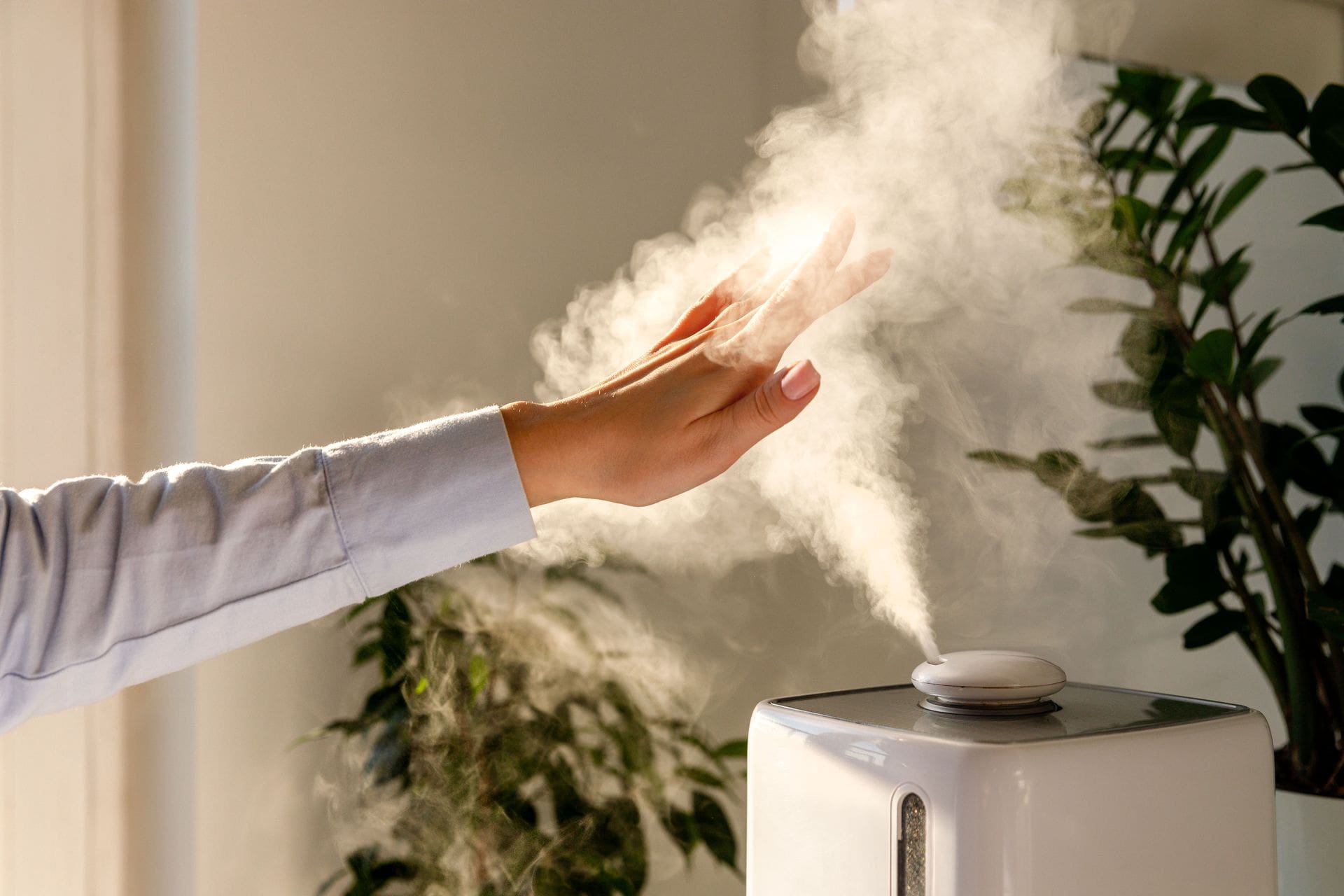 Quel est le meilleur humidificateur d'air ? – guide